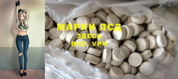 PSILOCYBIN Козловка