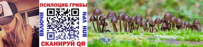 Псилоцибиновые грибы MAGIC MUSHROOMS  что такое   Кологрив 