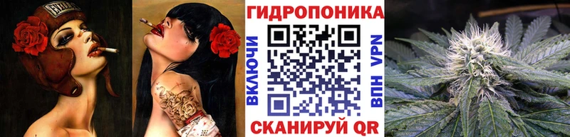 Бошки Шишки гибрид Кологрив